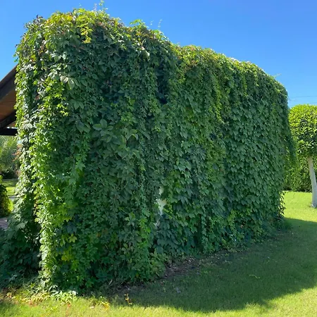 Vakantiehuis Casa Joan Elx