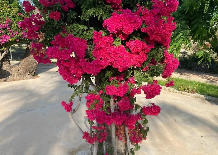 Casa vacanze Casa Joan *