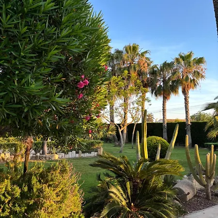 Casa Joan Elche