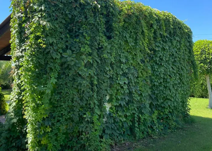 Prázdninový dům Casa Joan Elche