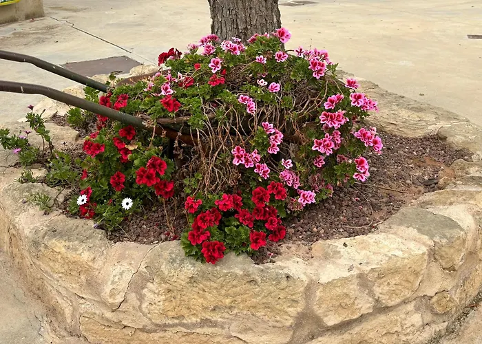 Prázdninový dům Casa Joan