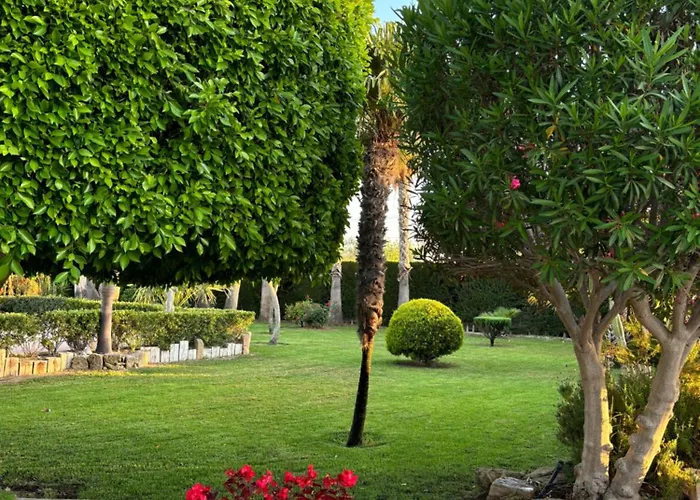 Casa Joan *