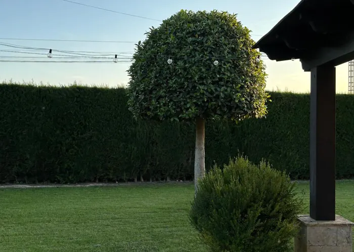 Prázdninový dům Casa Joan *