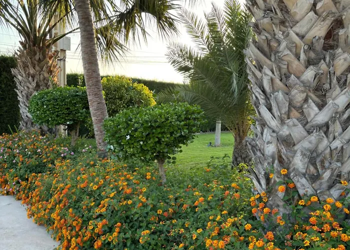 Casa Joan בית נופש