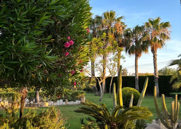 Casa Joan אלצ'ה