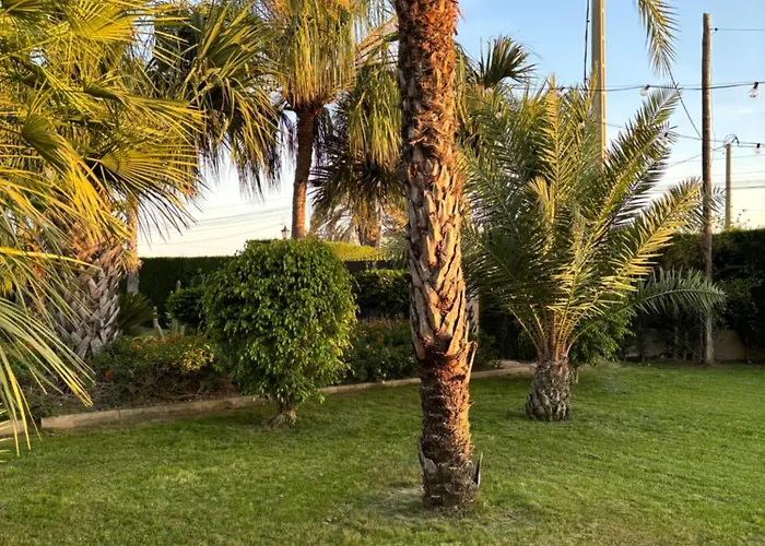 בית נופש Casa Joan אלצ'ה