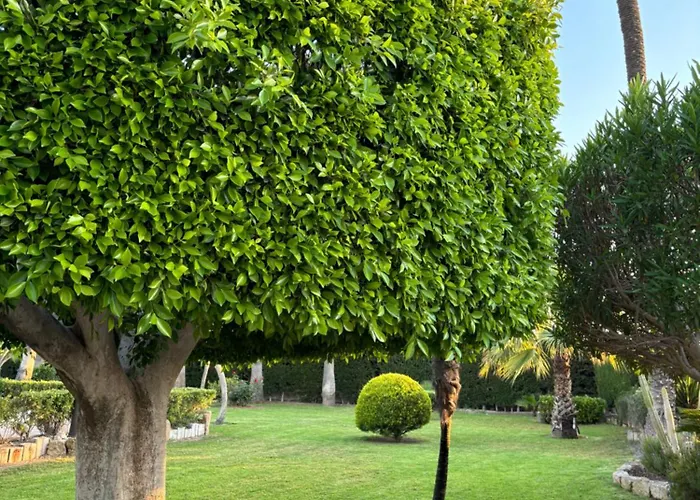 בית נופש Casa Joan *