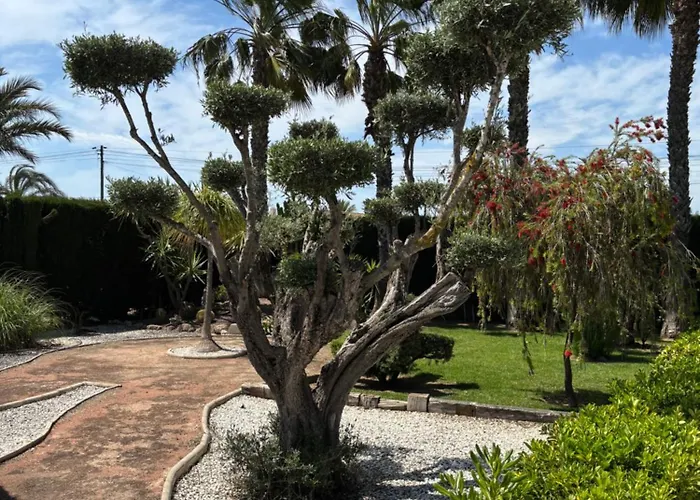 Casa Joan * אלצ'ה