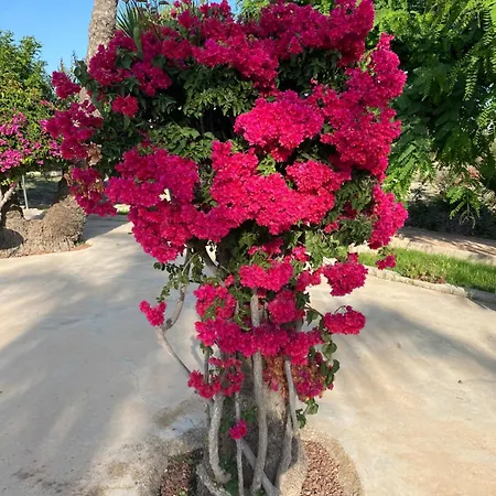 Holiday home Casa Joan *