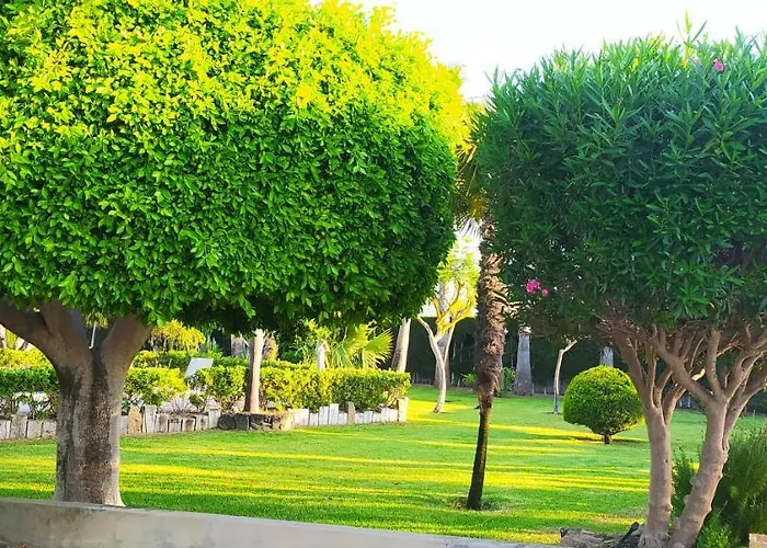 Casa Joan Ferienhaus Elche