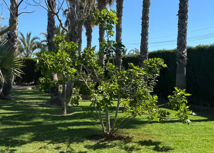 Ferienhaus Casa Joan *