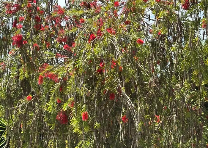 Ferienhaus Casa Joan